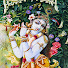 RWq80cNGHAQ-channel-avatar-Prabhupada's Followers Speak