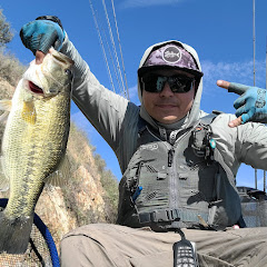 Bassin_Dad