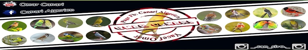 Omar Canari Avatar canale YouTube 