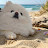 @호두-f2k