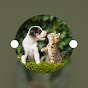 ThePetFAQ Avatar