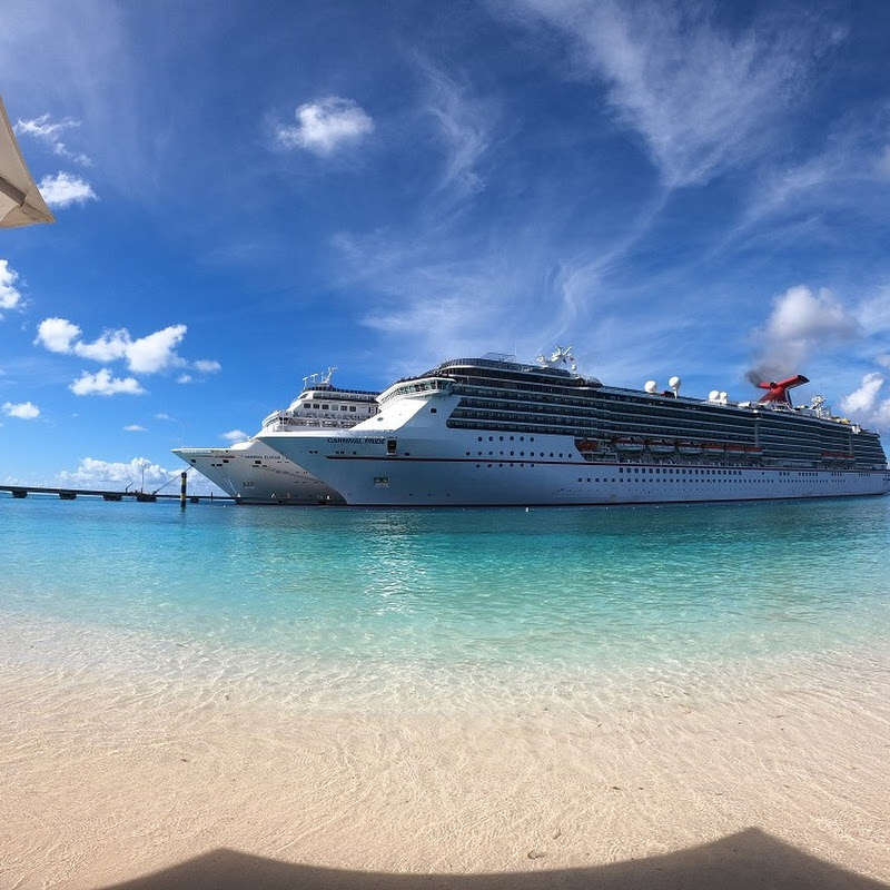 Cruise Clips