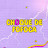 CHOQUE DE FOFOCA
