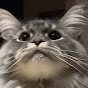 cute animals