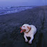 g5g8FUkF3jU-channel-avatar-Gaia16