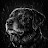 @strongDumerssaint-b9l