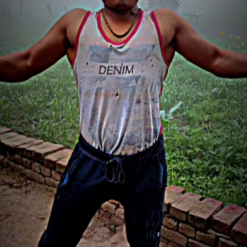 Vishnu Desi Gym 