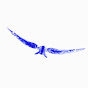 Arelomat Avatar