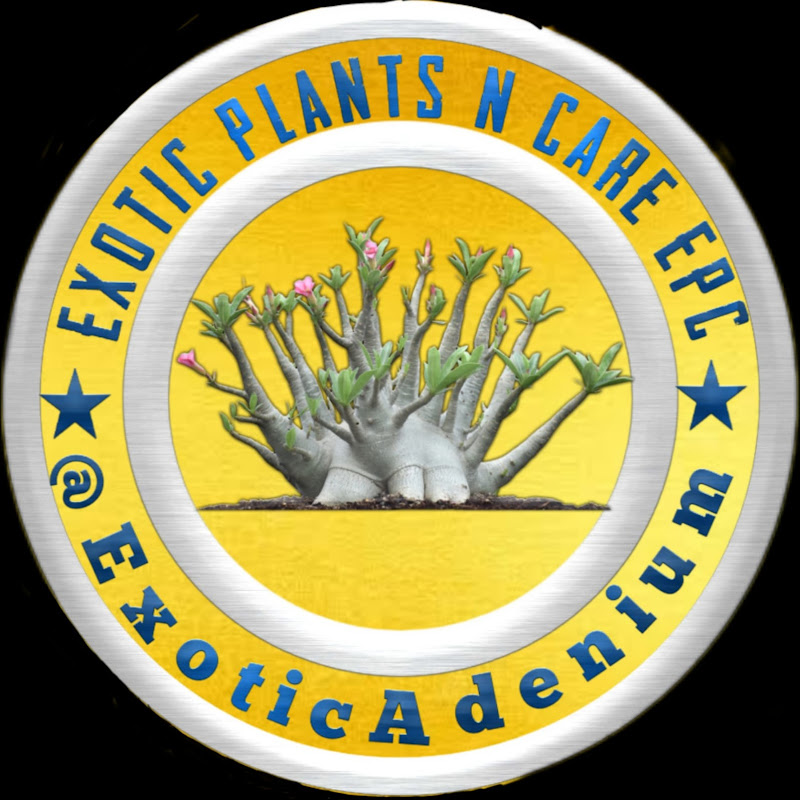 Exotic Plants N Care EPC