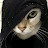 @Sillycat-o6