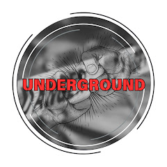 アングラファイル