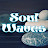 @SoulWavesss