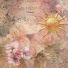 ycHiwrkaa10-channel-avatar-Riri Rose