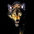 6pf6VxAqsuQ-channel-avatar-firestormnetwork