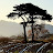 @Lee0505-w3o