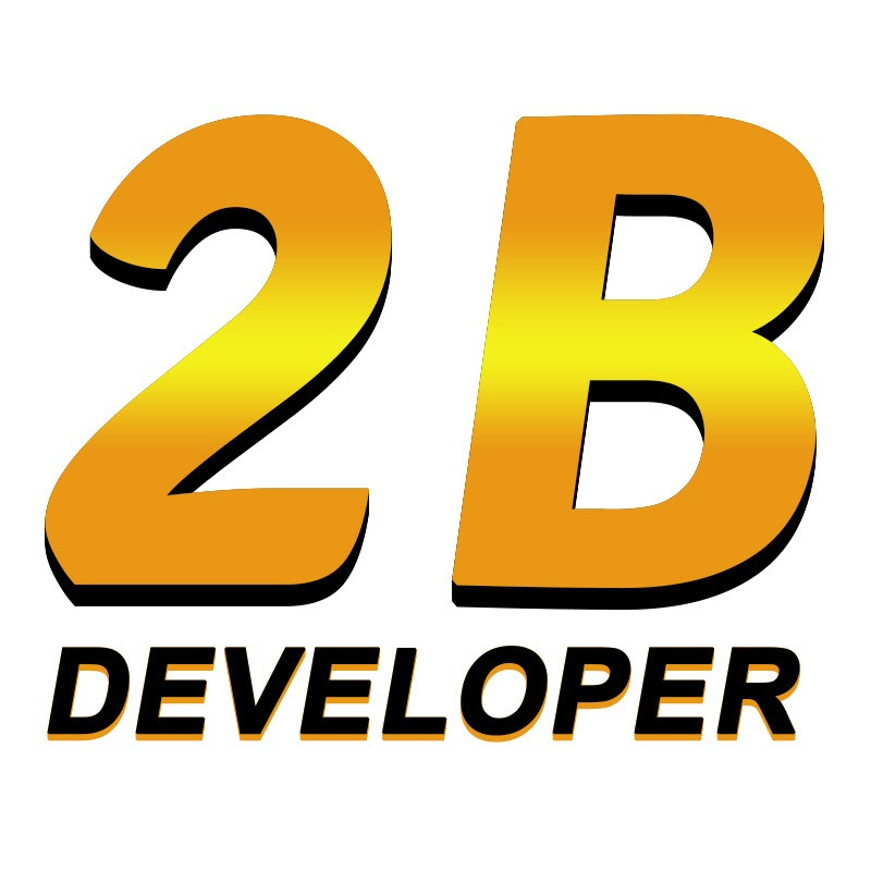 2B Developer