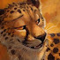 RPVjPU16RLc-channel-avatar-Jaguars Den Games