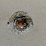 ICg4n3FVNDc-channel-avatar-3RBallistics