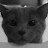 @Dmitr666 Avatar