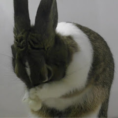 あにまるタンジェント