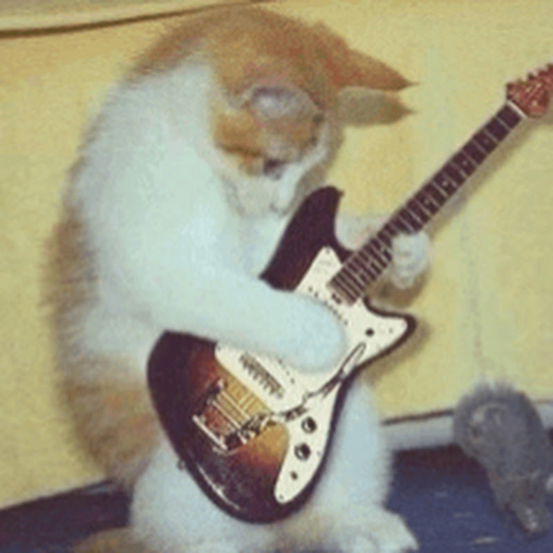 paperface