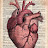 @ضحىخلف-ط4ت7غ