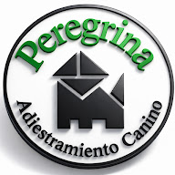 Peregrina | Adiestramiento Canino