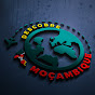 Descobre Moçambique Official  logo