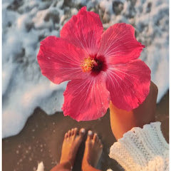 🌺rotina da gil