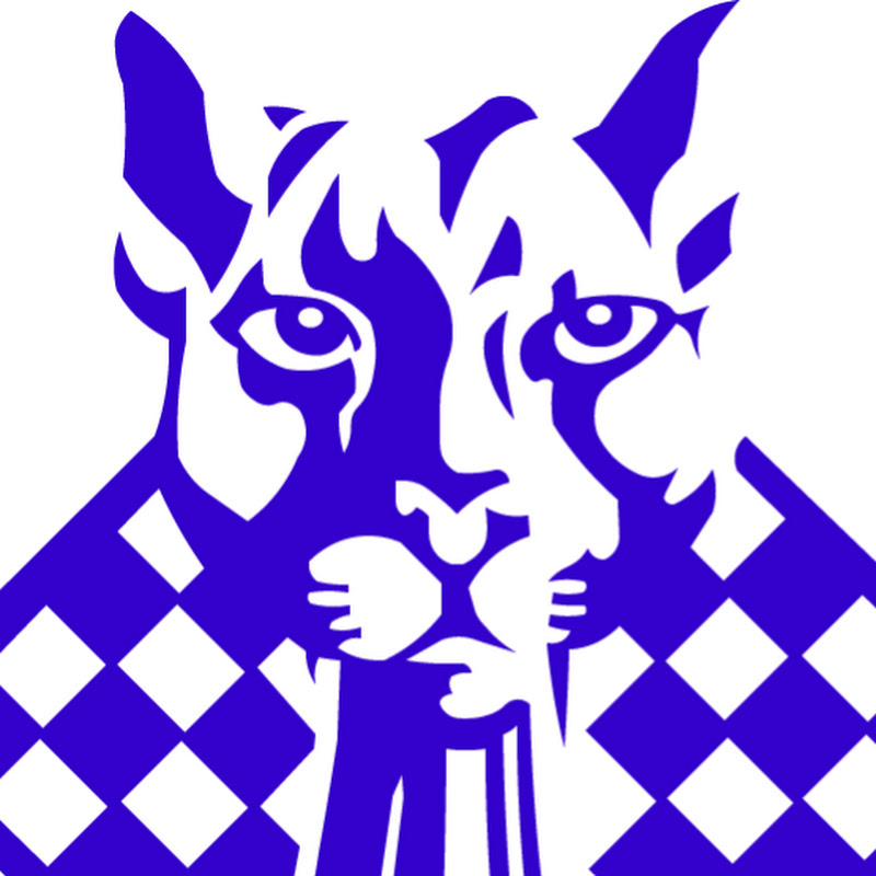 Blue Panther Games