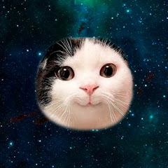Funny Animals World channel avatar