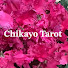CBH5dQSJLSk-channel-avatar-Chikayo Tarot