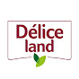 Délice Land logo