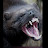 @mohammadkasem2450