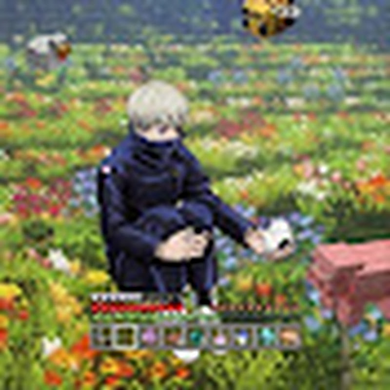 Hire Dollo — Cat Care & Behaviour YouTube creator for sponsorships