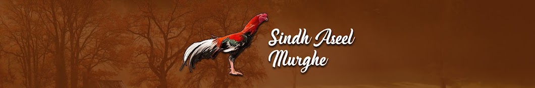 Sindh Aseel Murghe YouTube channel avatar