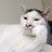 @tor-ml8ht