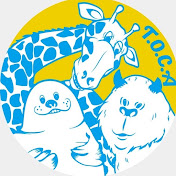 T.O.C.A official