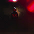 xE8kmSVGiP0-channel-avatar-Alone