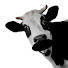 kWG28IjfR5g-channel-avatar-Moo