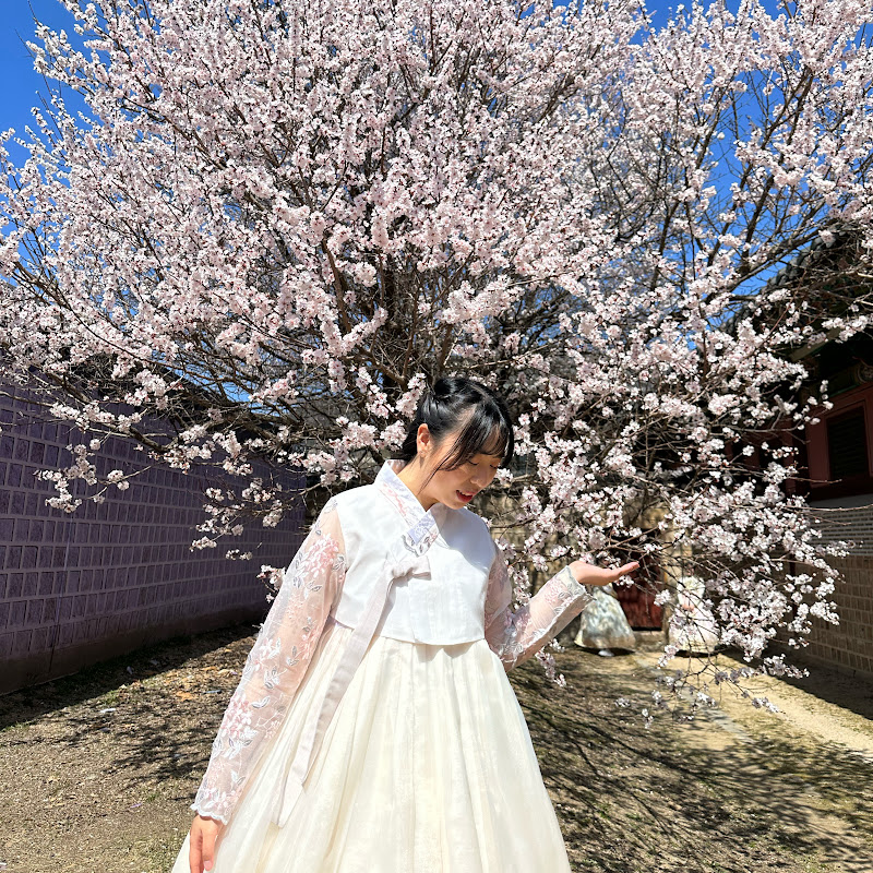 ENFP Cherry