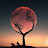 @zHaste Avatar