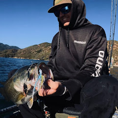 Artificial Fishing
