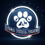 USA Viral Video logo