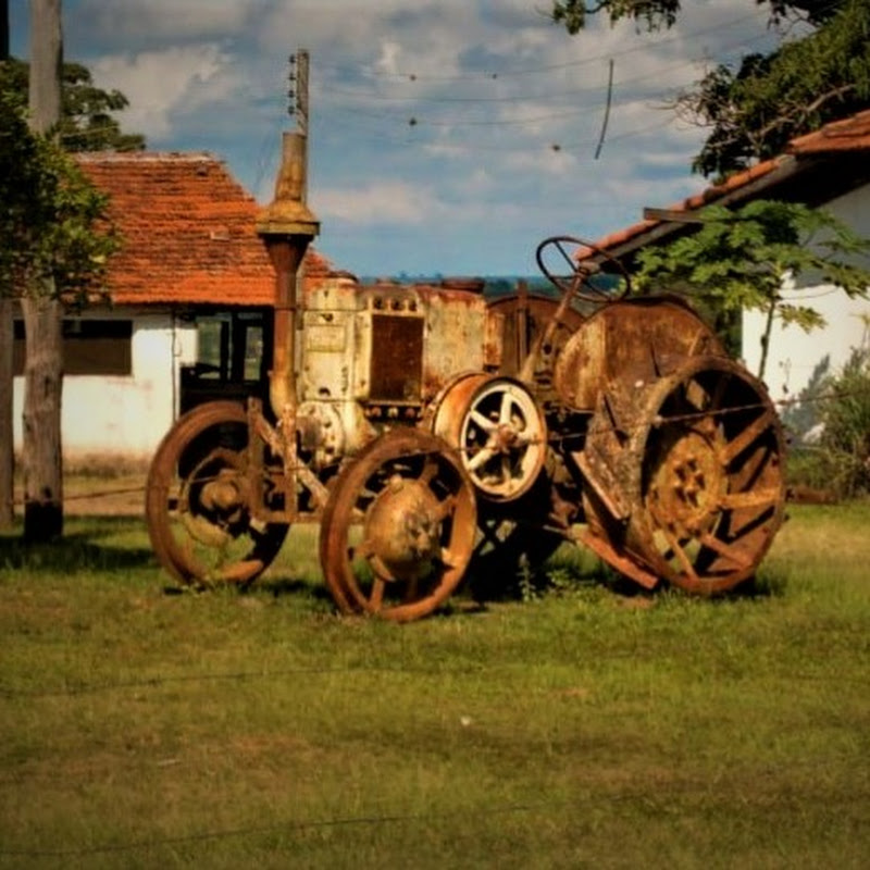 CHEGUEI NA ROÇA