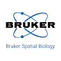 Bruker Spatial Biology logo