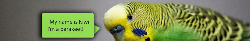 Kiwi and Pixel the Parakeets Avatar de chaîne YouTube