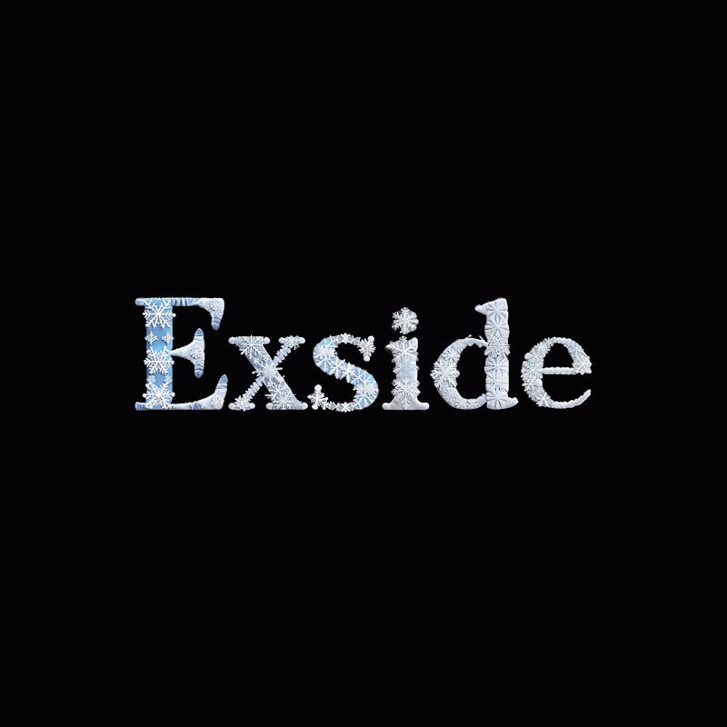 Exside