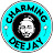 Dj Charming -the short Charming Dj-