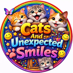 Cats And Unexpected Smiles